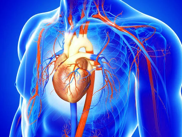 La conexión entre calcitriol y la salud cardiovascular